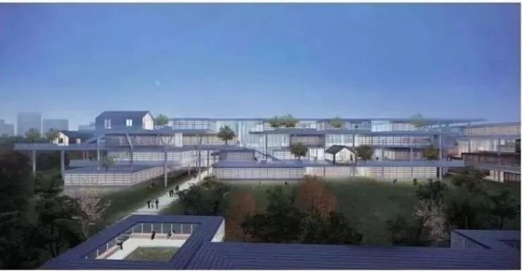 浦东新区道路建设,浦东将抓好一批重大工程项目