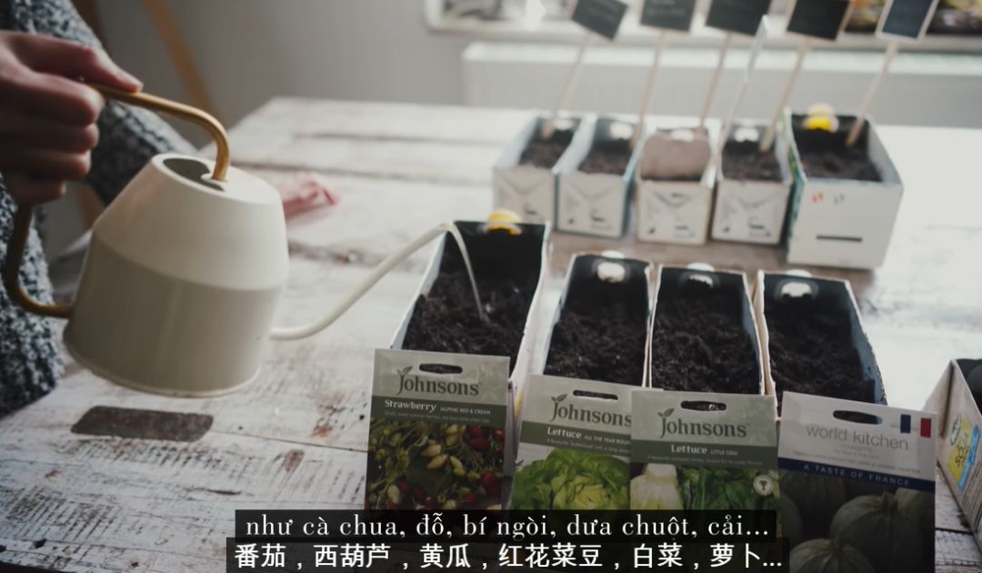 李子柒靠海外视频月入80万,德国版李子柒