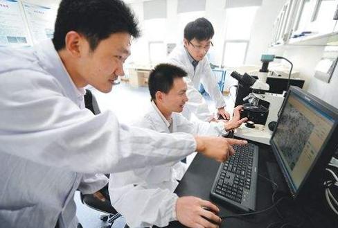 读博和科研能成功吗,做科研助理读博