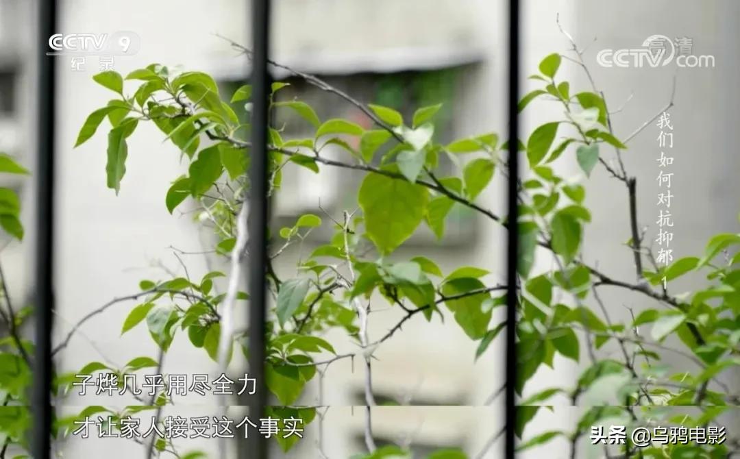 每30秒就有一个人自杀,求求别再叫她们想开点了