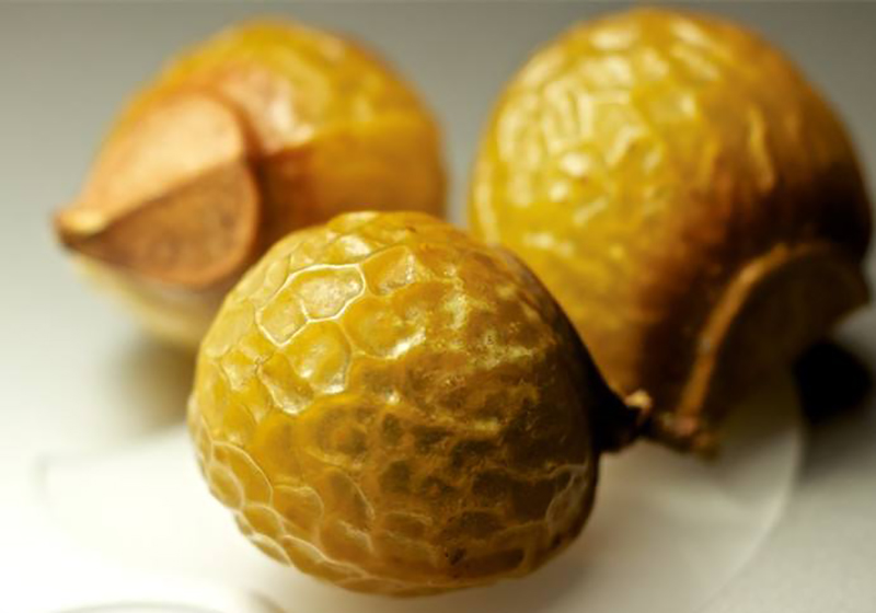 数千家化妆品工厂，服务质量高低不等看好他是因为什么？