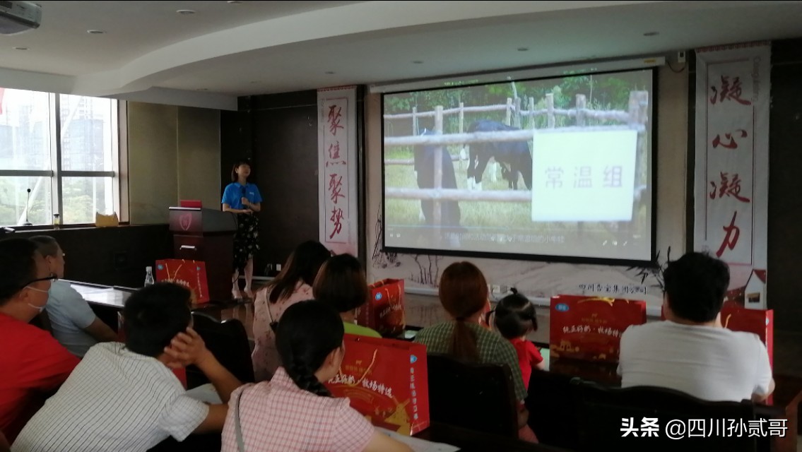 雪宝奶牛场,参观雪兰牛奶工厂心得体会