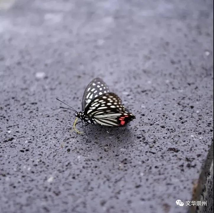 山川美景与世无争的世外桃源,依山傍水尽享人间仙境