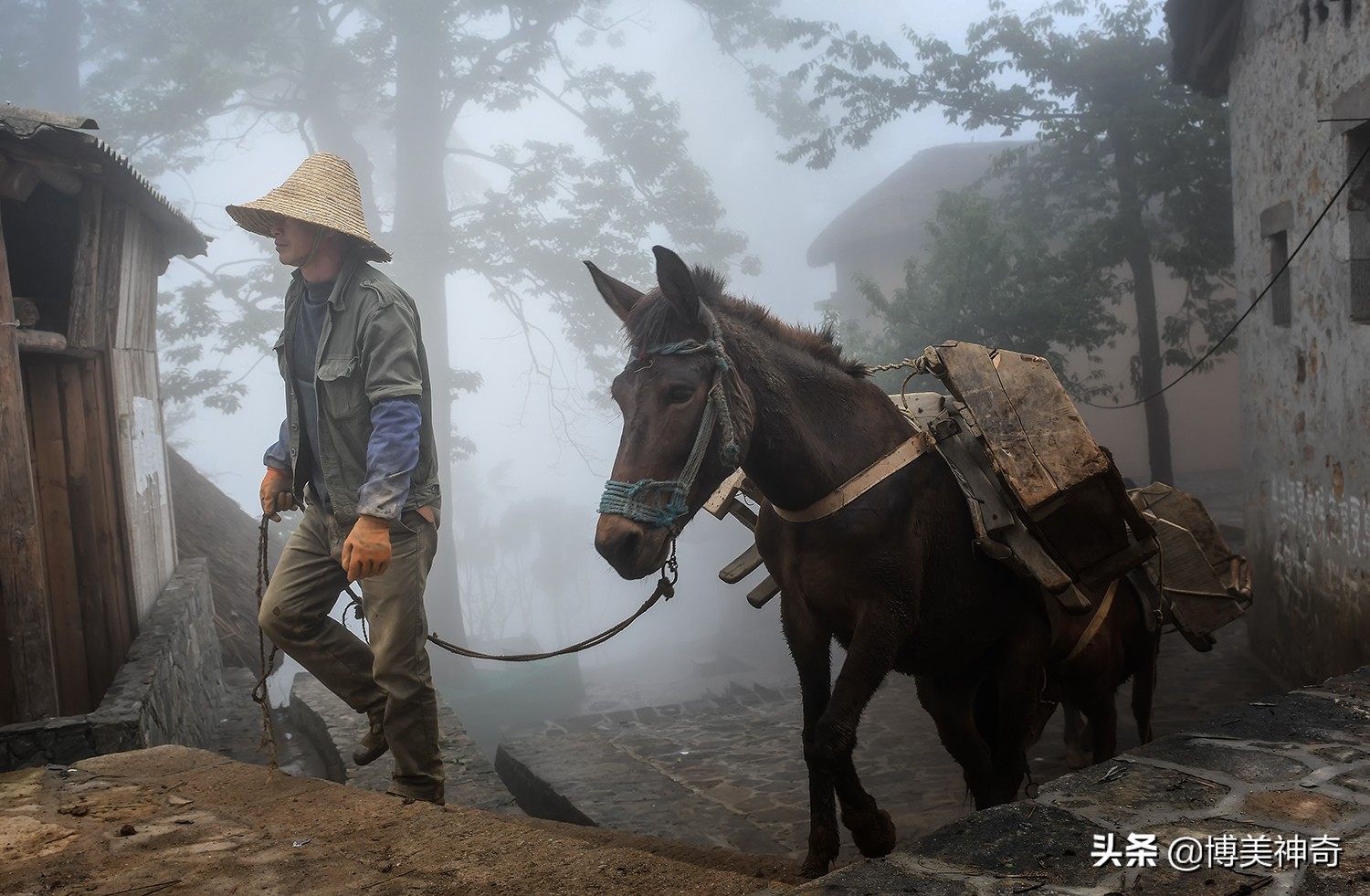 红河哈尼族彝族自治州阿者科村,云南元阳哈尼梯田阿者科村