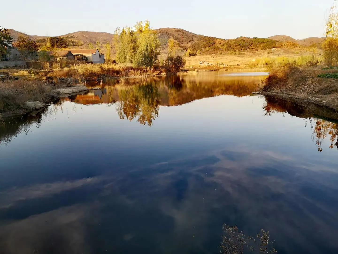 向秋全文阅读,向秋采春记原文