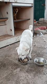 穿恨天高坐地铁的社死现场,两位男士都不忍看这次“崴脚表演”