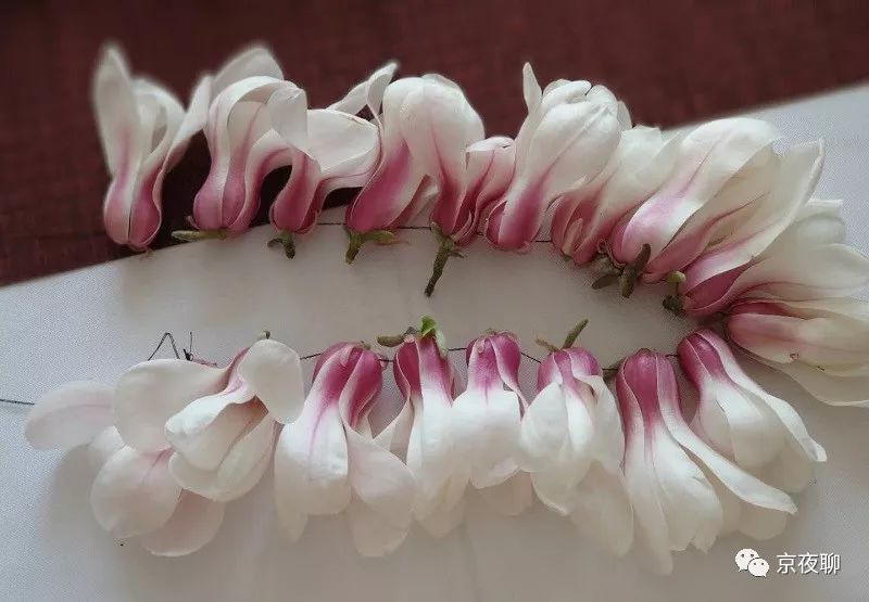 张虹｜玉兰花香且可食