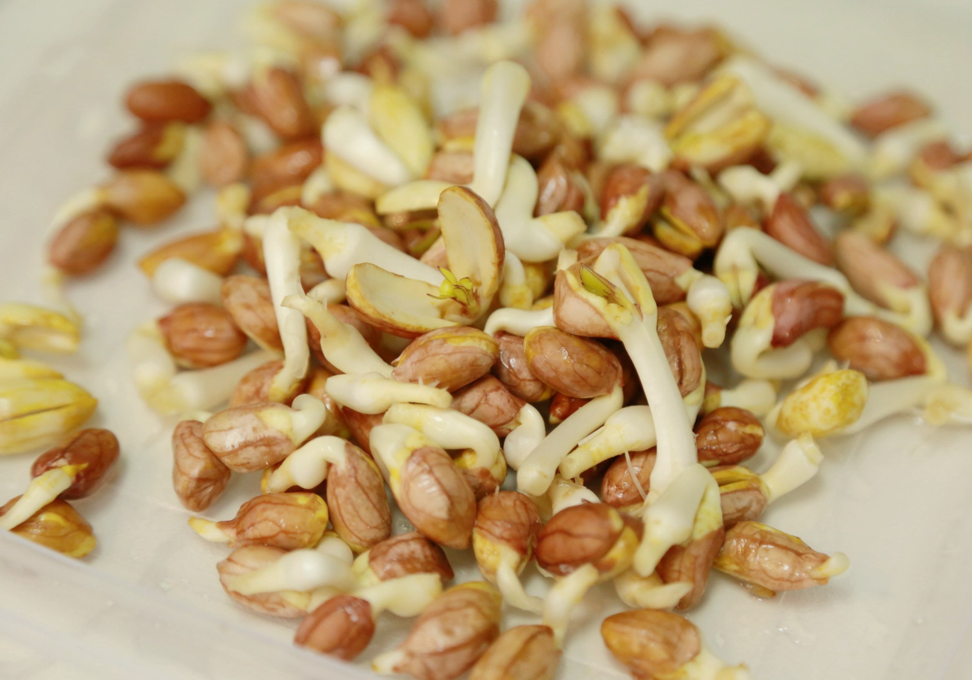 养生堂生发妙招,增长生发精华