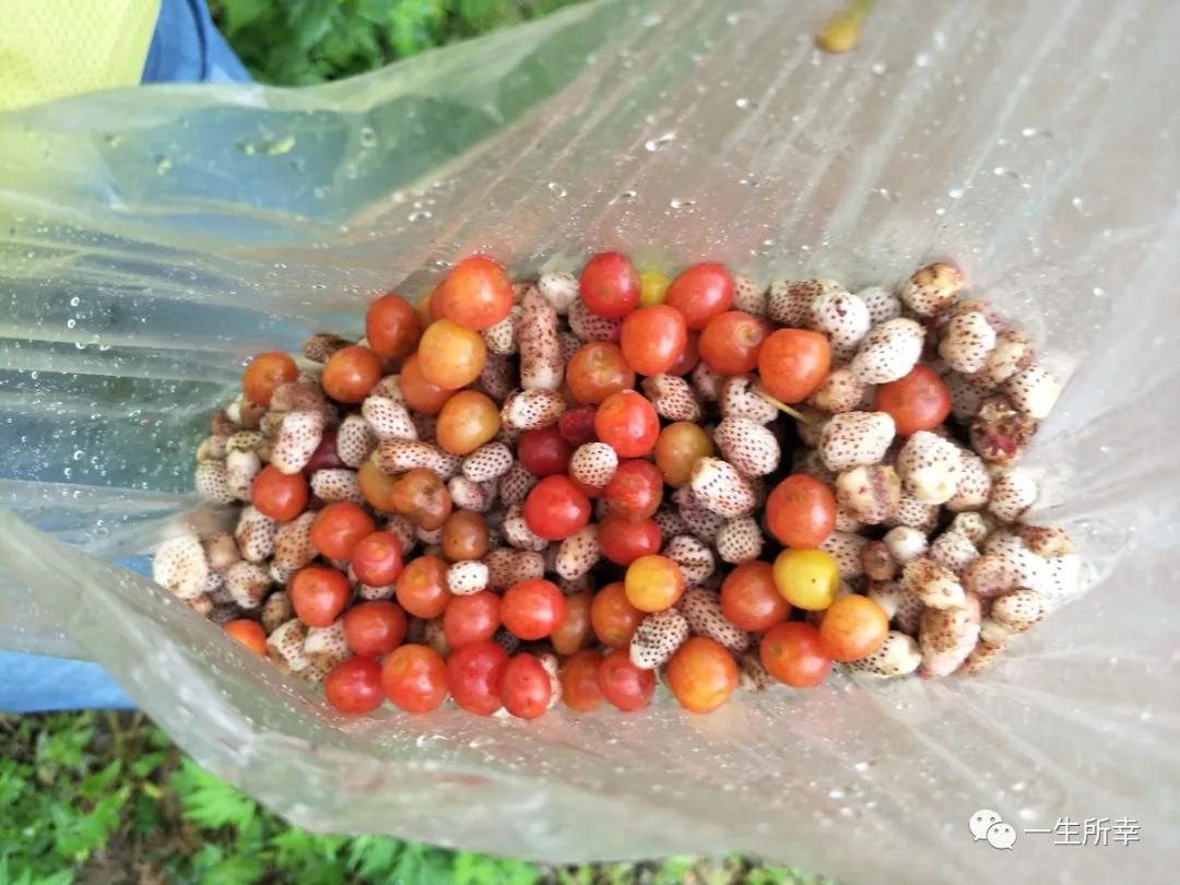 一川碧水,一川碧水一重山