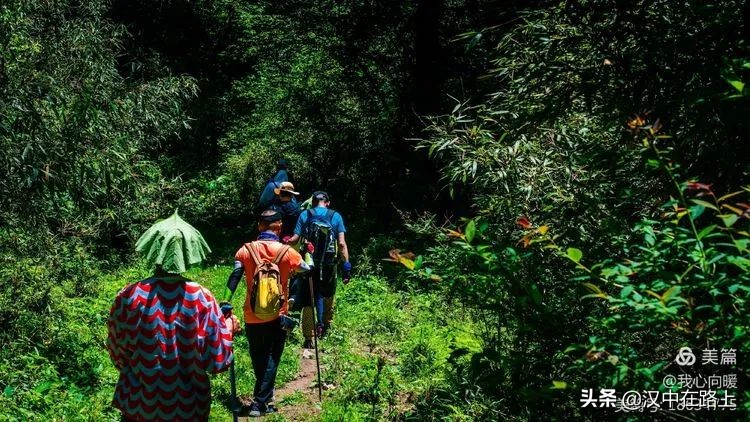 汉中圈子崖天坑,汉中镇巴圈子崖天坑旅游攻略