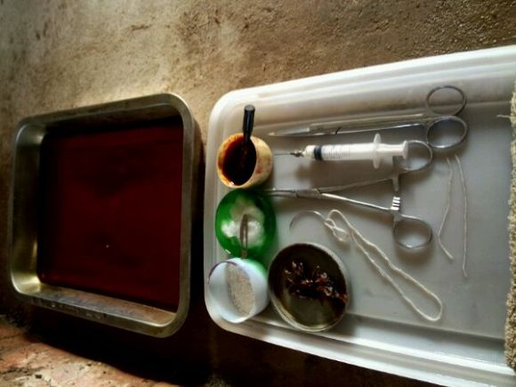 小公猪漏肠技术,小公猪漏肠最简单的处理方法