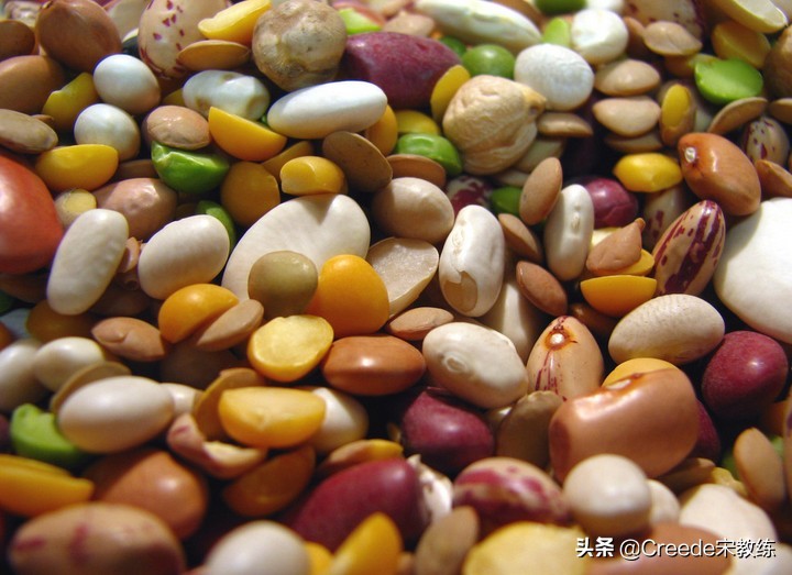 健身蛋白质粉怎么看好坏,健身怎么知道蛋白质够不够