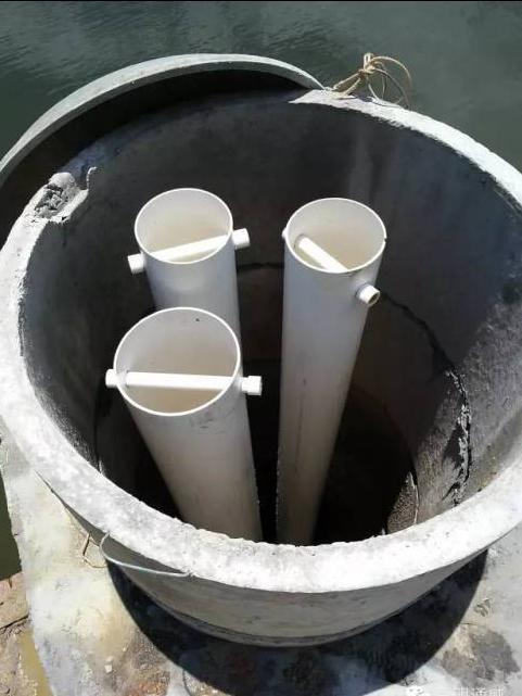 池塘水体净化,池塘净化鱼类