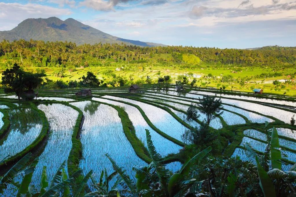 东南亚适合旅游的地方,东南亚旅游最值得推荐的地方