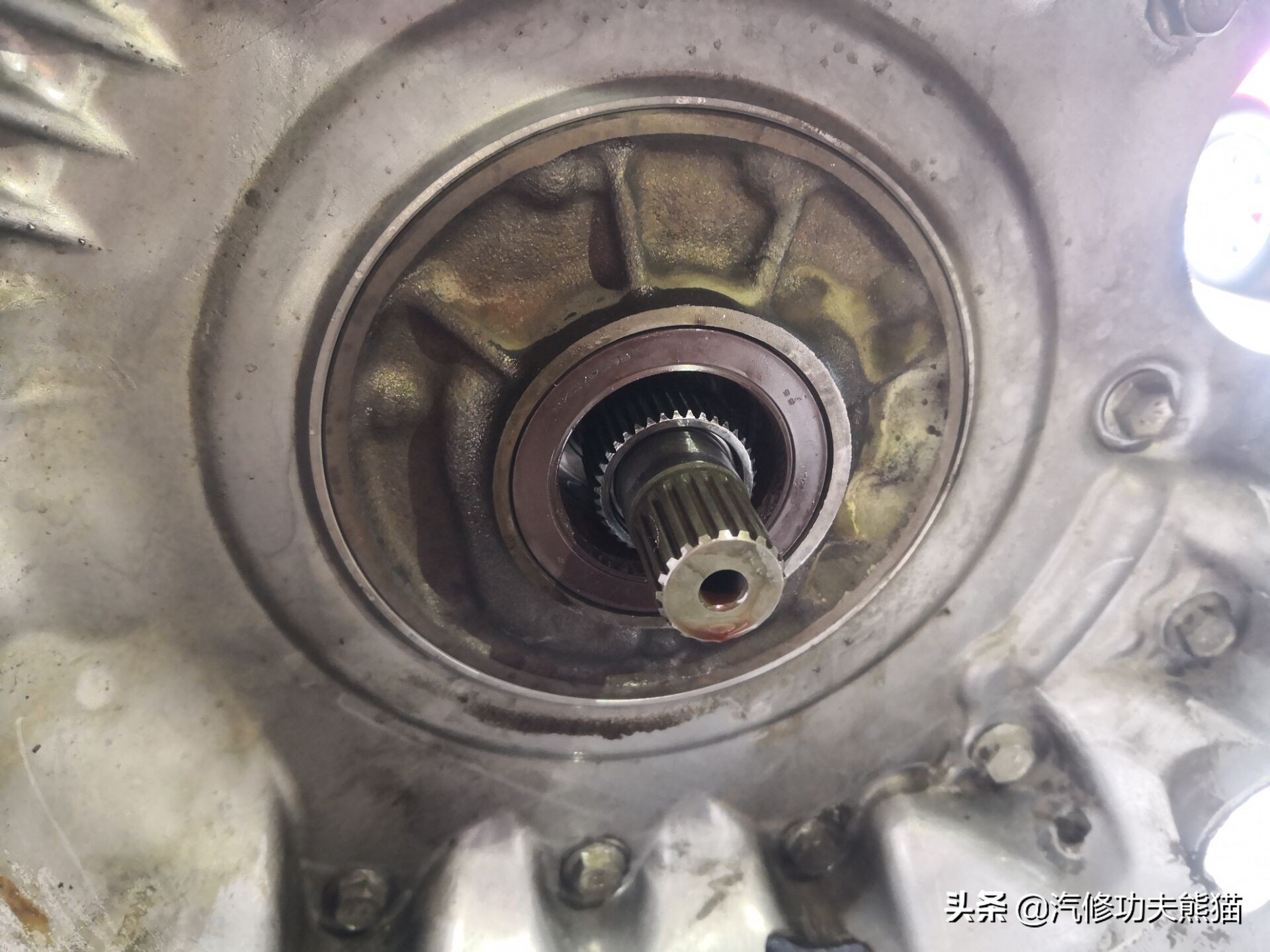 斯柯达明锐2010款2.0烧机油吗,09款斯柯达明锐1.6烧机油怎么解决