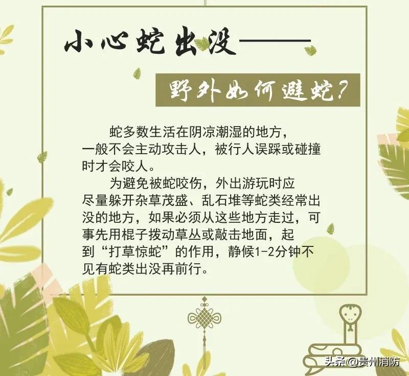 贵州头上有角的蛇,贵州头部是三角形的蛇