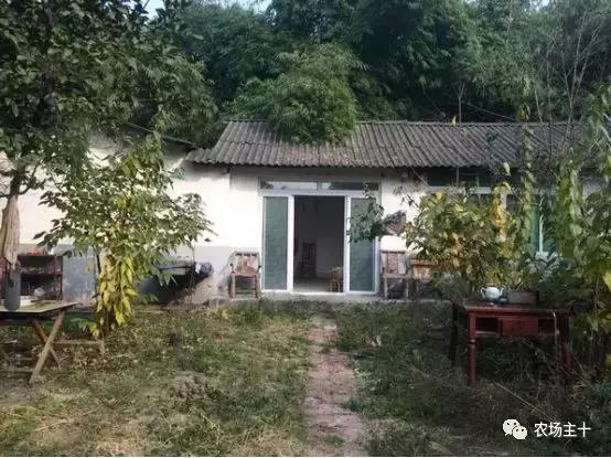 改造山野小院记录田园生活,花4万块钱改造的小院