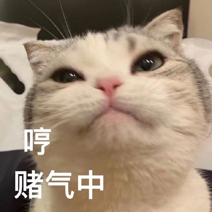 漂亮姐姐可以带我打游戏吗表情包,简单可爱的表情包仙女姐姐