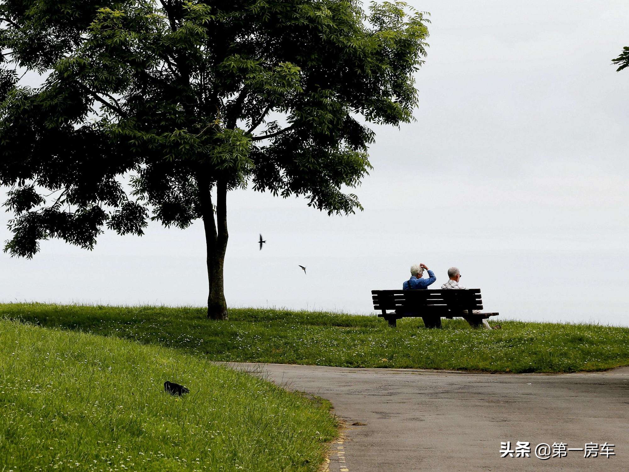 开着房车和家人去旅游,开着房车去旅游的更佳体验