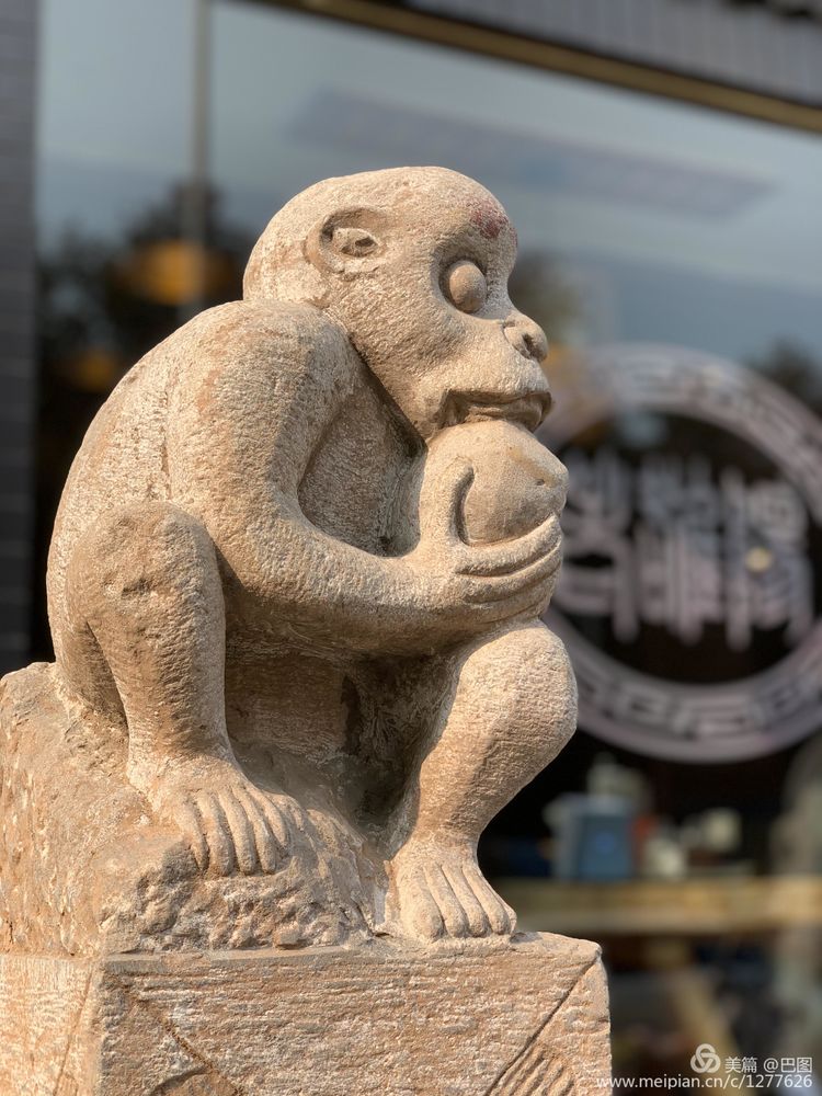 手机拍洛阳,涧西牡丹广场老照片