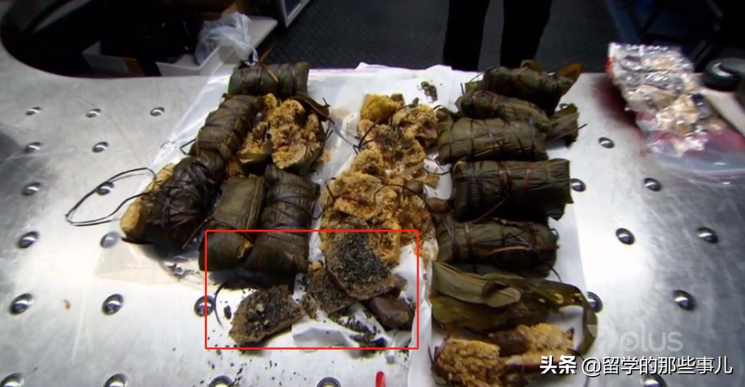 澳洲禁止入境物品最新规定,入境澳洲哪些东西能带哪些是禁带