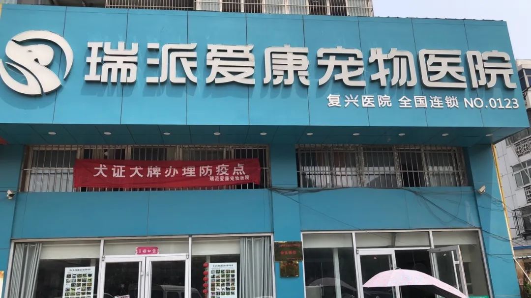 犬加强免疫注意事项,犬只免疫费用