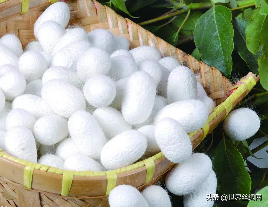 丝绸文化的四大名锦,古代丝绸的顶尖技艺