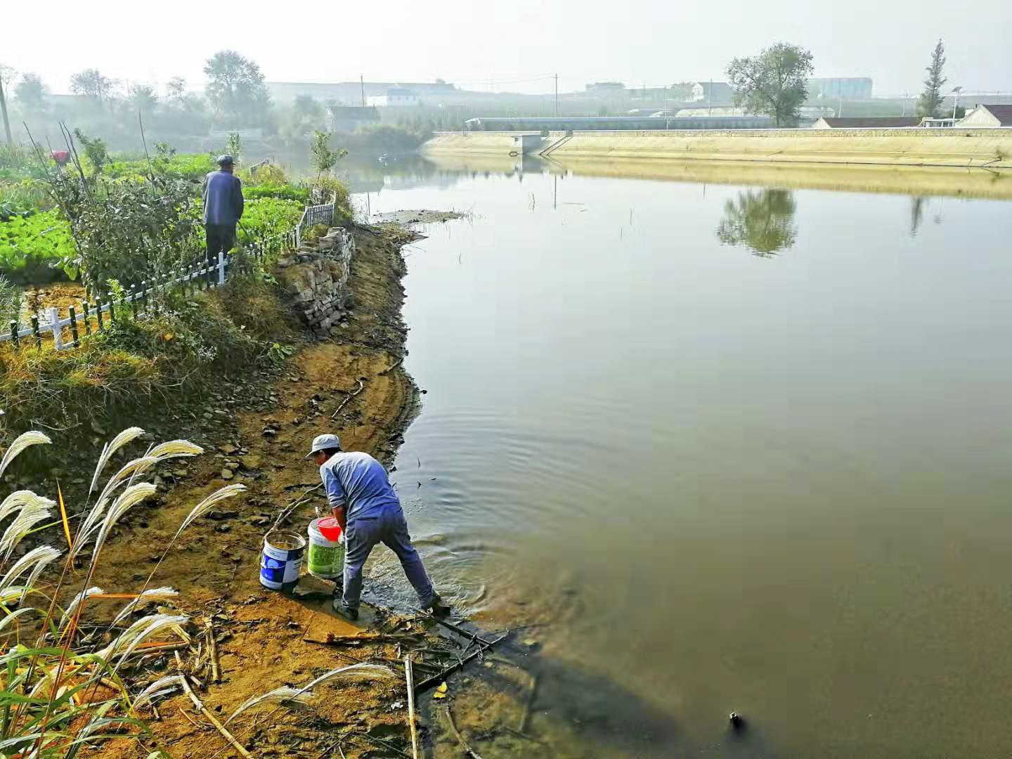 行走在乡村的感悟,行走在乡间感悟