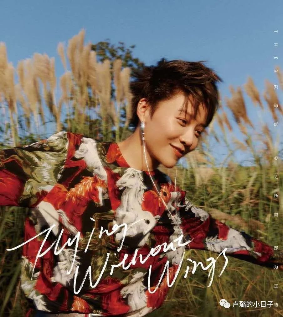 kenzo为什么有名,kenzo十大经典