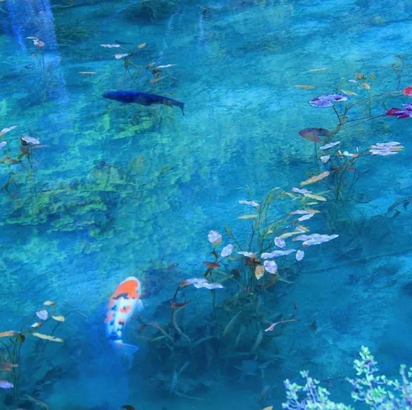 日本小众的好地方,日本最小众的地方