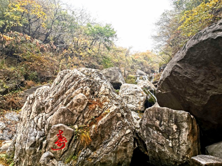徐州旅游团云台山两日游,河南云台山3日游价格跟团游