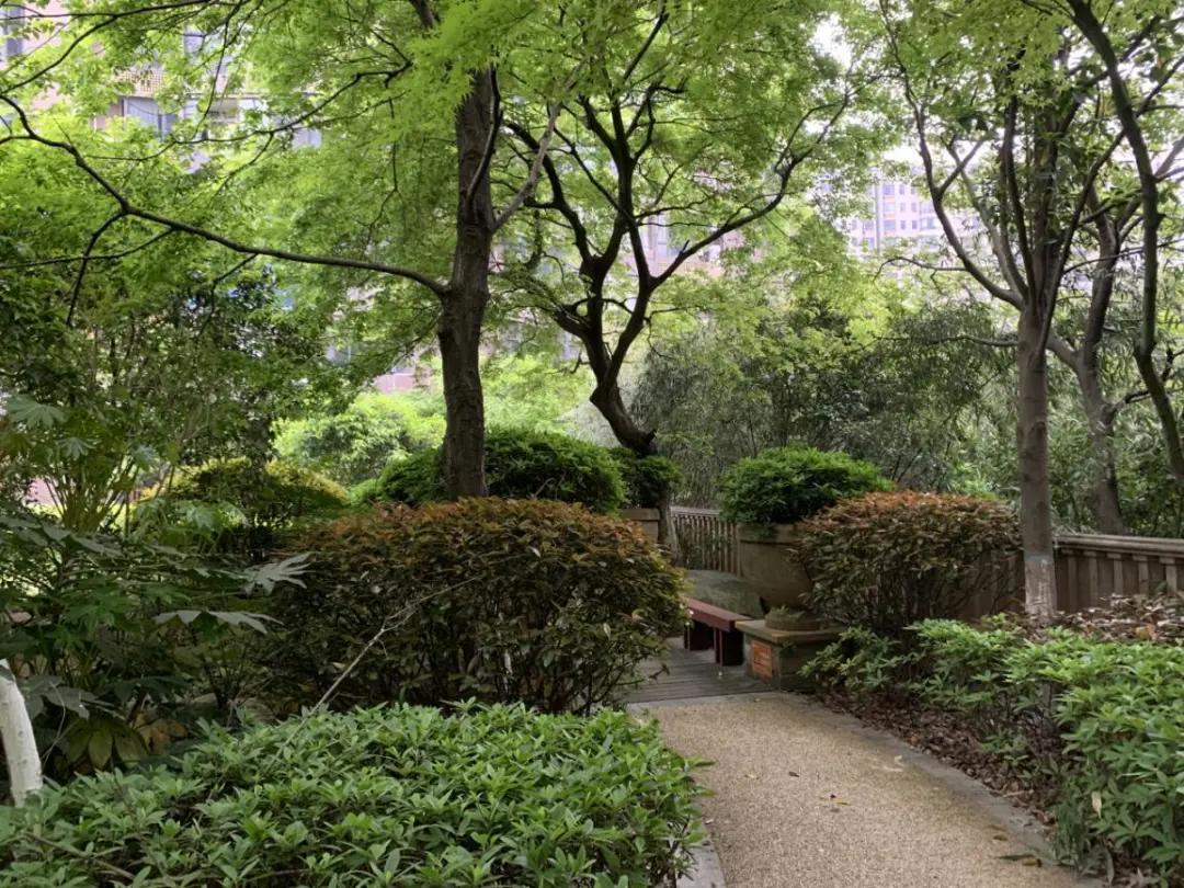 老城中的“奇葩”！这个经典盘的价值有没有被低估？