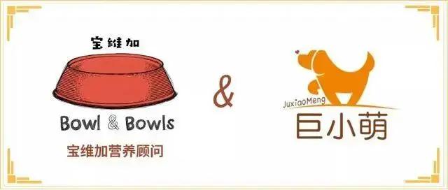 新西兰每家养狗多少只,新西兰养狗的多吗