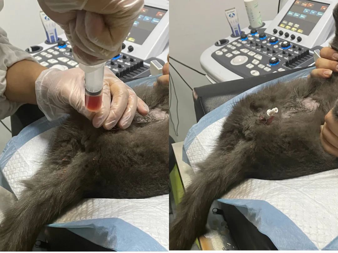 男言之隐怎么样,男言之隐介绍