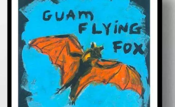 蝙蝠给人类敲响的警钟,蝙蝠对人类有帮助和贡献