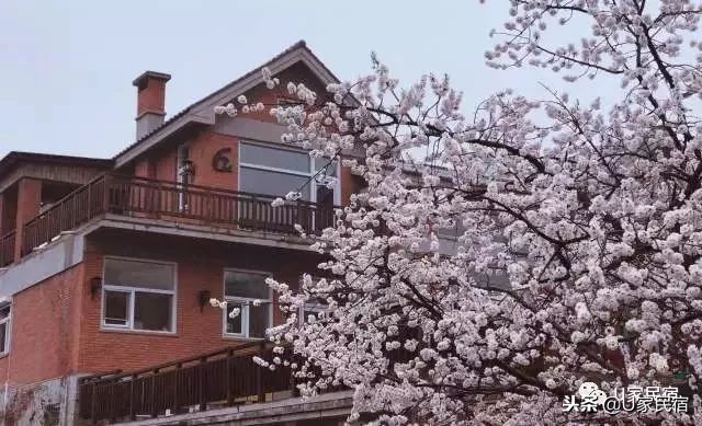 大连周边温泉民宿口碑最好,大连海边民宿排行榜前十名