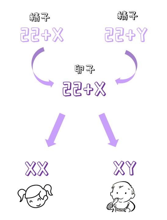 丧尽天良！为求男胎服用转胎药，女孩儿成“双性人”