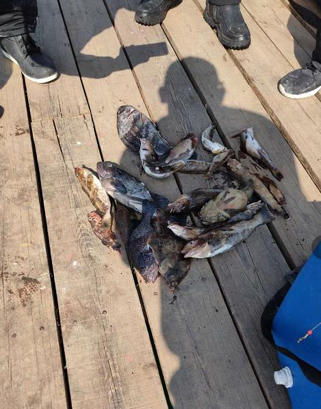 小平岛船钓视频,小平岛船钓钓点