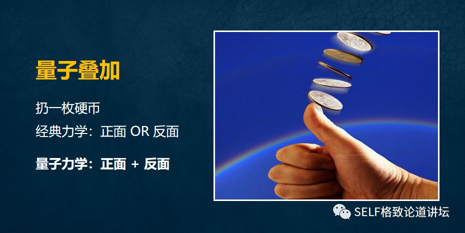 量子物理谜团薛定谔的猫已被破解 (量子计算机是否验证了薛定谔的猫)