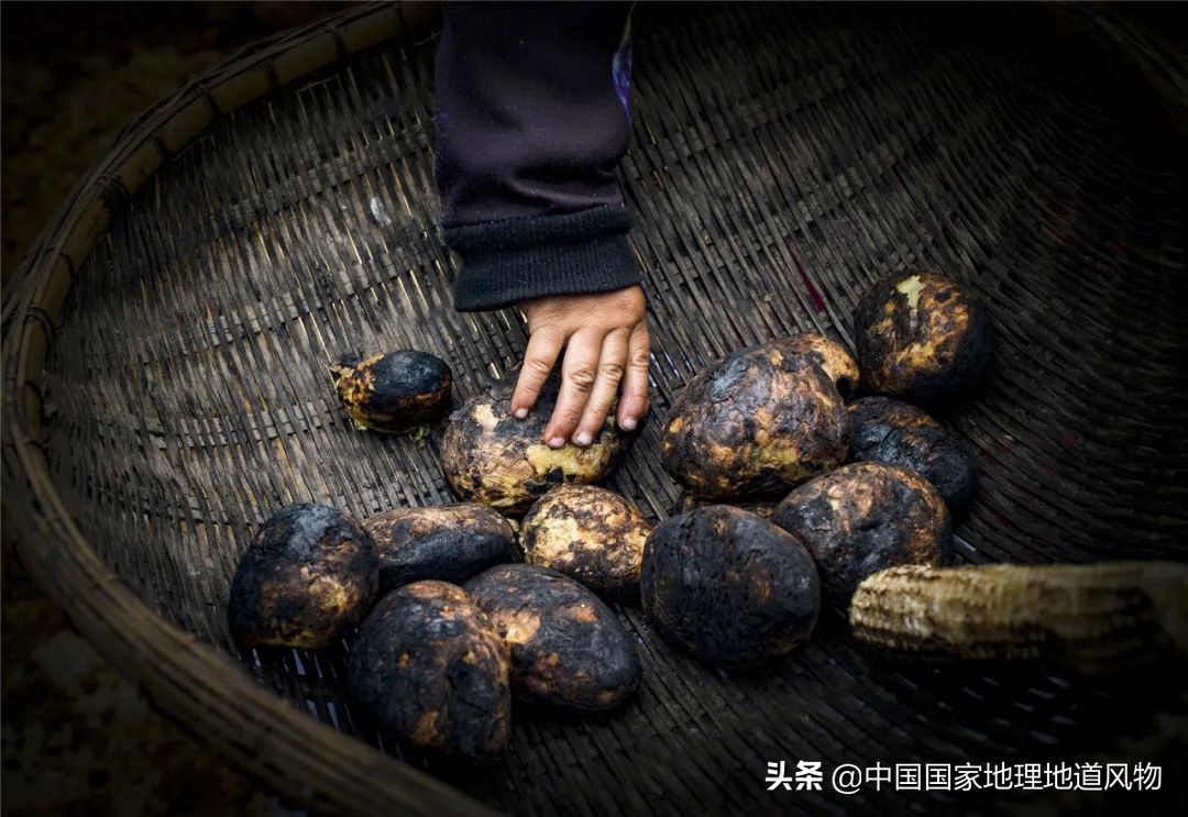 黑龙江和山东谁是农业大省,黑龙江和河南谁是第一粮仓