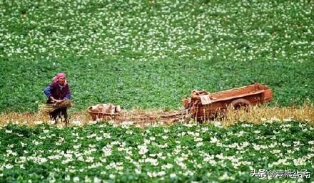 被大理的美景所折服,被丽江的风景美到了