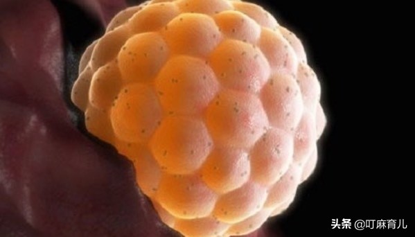 同房后，女性身上出现这三种反应，很可能是怀孕了，别傻傻不清楚