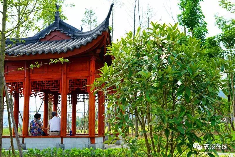 苍溪湿地公园有什么,苍溪最新湿地公园