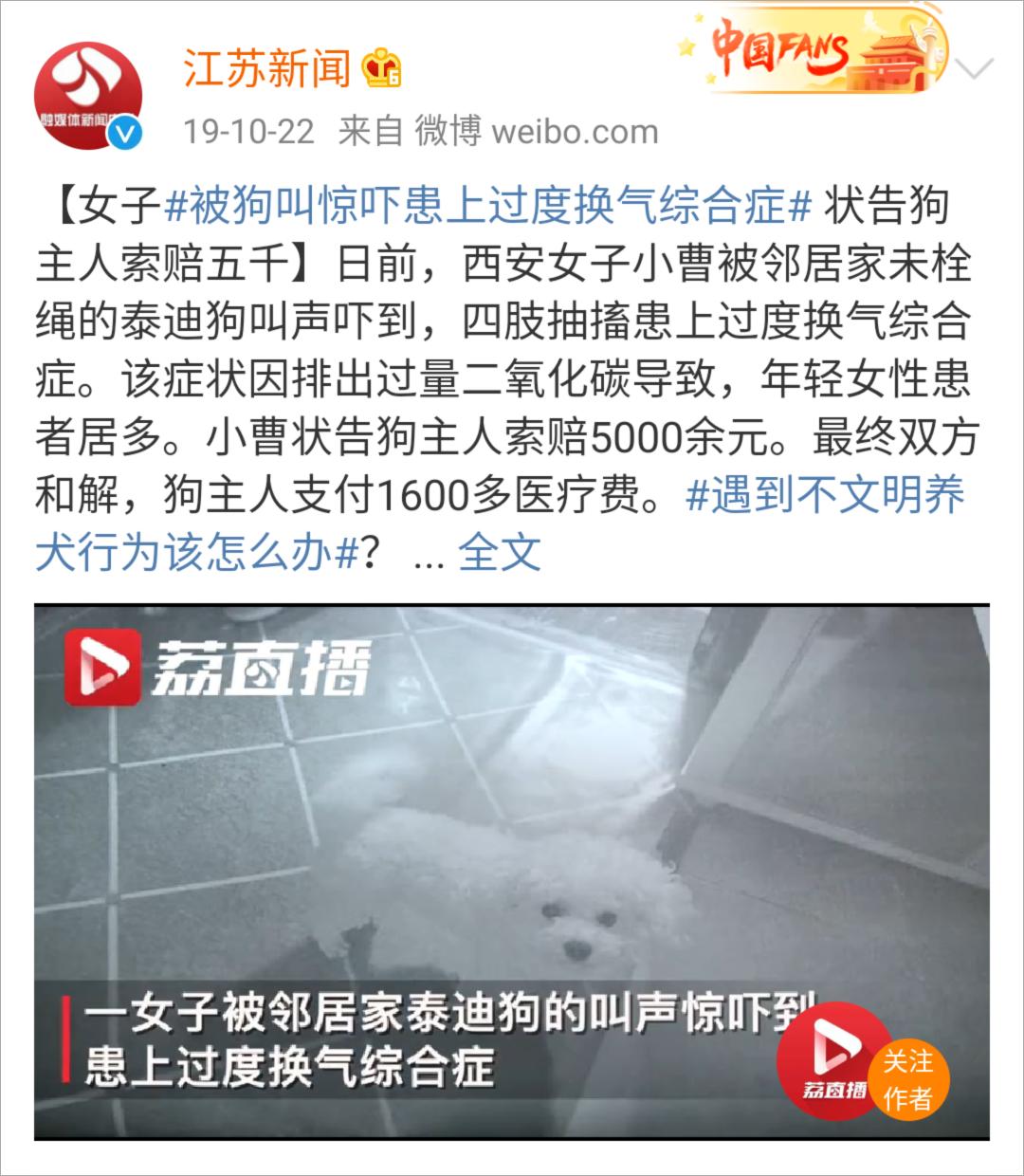 盘点怕狗人士遇到狗会有什么反应,怕狗人士遇狗正确方法