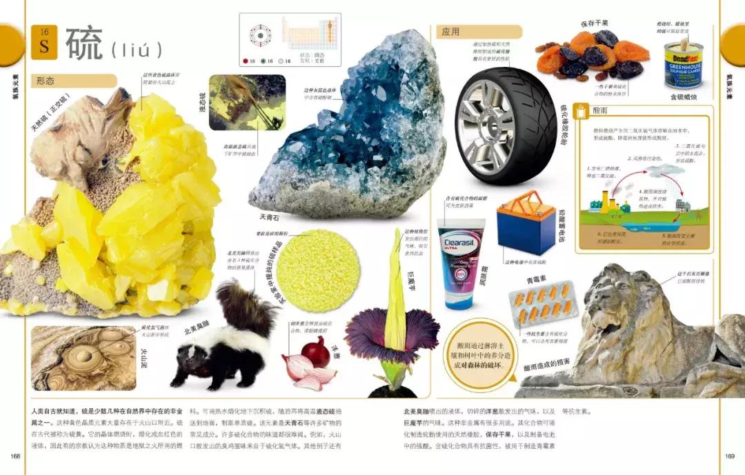 被封神的DK儿童科普书籍，到底哪些值得读？建议家长入手前看这篇