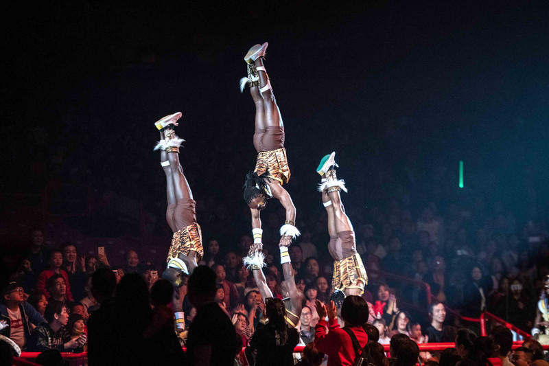 玩转广州长隆野生动物世界之行,广州长隆动物世界游玩攻略图