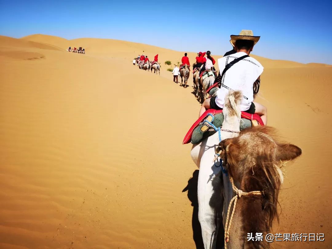 宁夏，中国最低调自治区，一半沙漠一半绿洲，被称为“塞上江南”