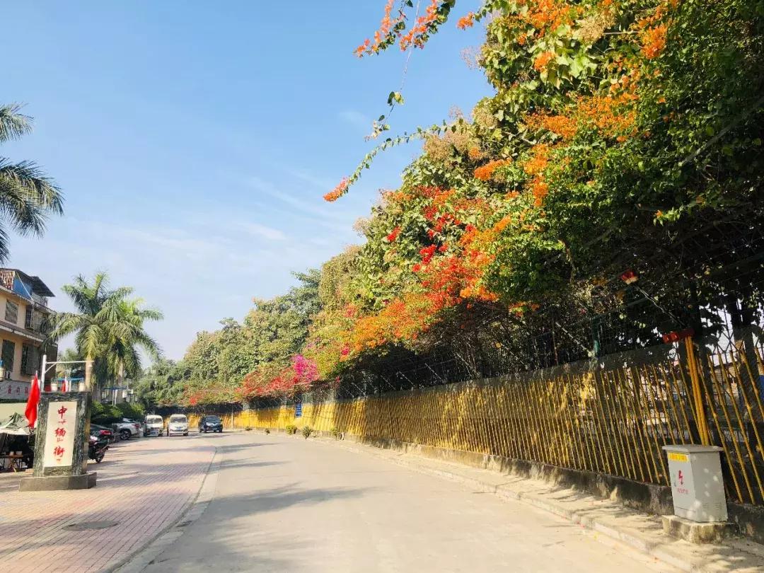 来姐告口岸体验一把非一般的跨境“网”商