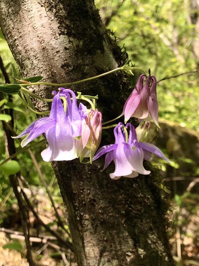 智者乐山仁者乐水谁作的诗,智者乐山仁者喜水