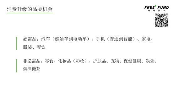 李丰消费创业,李丰投资的跨境电商